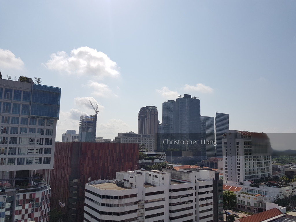 Blk 264 Waterloo Street (Central Area), HDB 3 Rooms #151275652